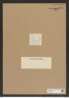 Hemiaulus subsymetricus Grun. (de-Toni-Nr.: Genus 117, Species 3338) Zeichnungen Sammlung Grunow Nr. 6745 (NHMW-BOT-W0375565)